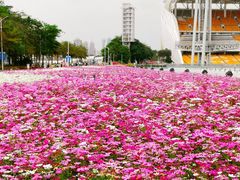 -海心沙亚运公园