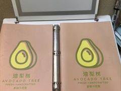 -油梨树AVOCADO TREE(顺义新国展店)