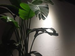 -韩见·韩式拌饭·炸鸡(石厦店)