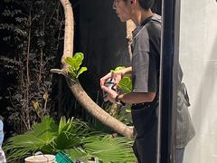 -渔顺生·顺德鱼生·粥底火锅·桑拿鸡(渔人码头店)