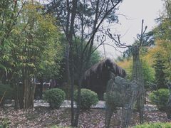 -崇阳三特浪口温泉