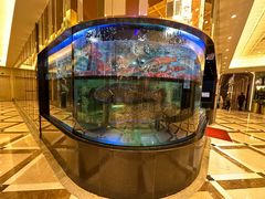 -金翠皇宫粤菜·点心·海鲜(科技园店)