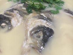 -巢湖姥山岛