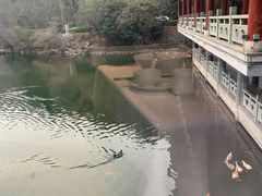 -安吉涵田度假村·水榭居中餐厅