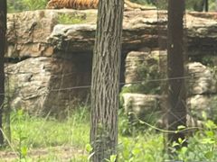 -秦皇岛野生动物园