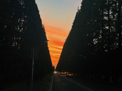 -黄海国家森林公园