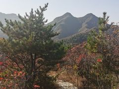 -水峪民俗村