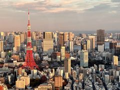-六本木新城展望台(东京城市景观)