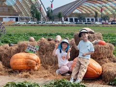 -中国天府农业博览园