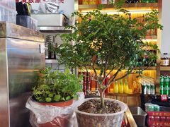 -蛙一刀·麻椒鱼火锅(金仙桥店)
