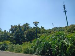 -张坝桂圆林公园