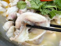 -大鼎石锅鱼(春江里店)