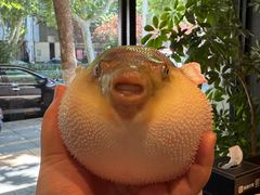 -永安鱼庄·镇江菜(东吴路店)