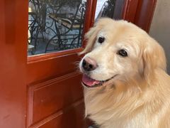 -LA CREPERIE BRETONNE布列塔尼法式餐厅(天童北路店)