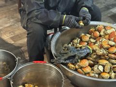 -孟家蟹包(锦绣街店)