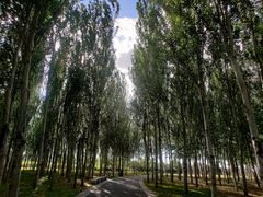 -东郊湿地公园