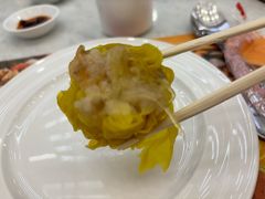 -Gloria Maris Shark's Fin Restaurant Greenhills