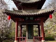 -碑林公园
