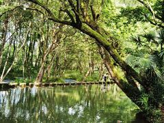 -西溪南古村落景区