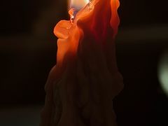 -the rug 飞毯 (朝阳公园店)