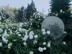 -人民公园(罗湖区)