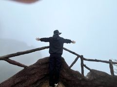 -大傻徽菜园·中国徽菜大师(老街店)