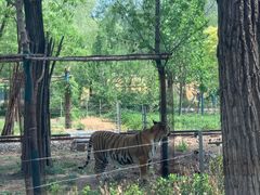-秦皇岛野生动物园