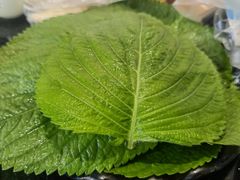 -齐齐哈尔烤肉(上海道店)