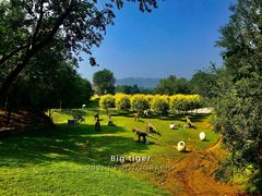 -北京张裕爱斐堡酒庄