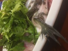-匠岳·王宝器麻椒鱼(都江堰店)