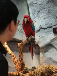 -Zoolung Zoolung动物主题公园(海信广场店)