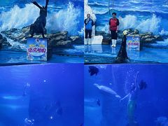 -左海海底世界