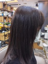 -藤野造型