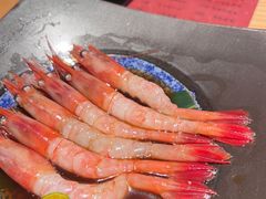 -人间酒暖·Go blanc·烧鸟·深夜食堂(陆家嘴店)