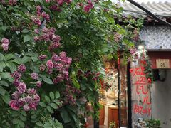 -碰瓷儿陶艺DIY体验馆(五道营胡同总店)