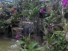 -东莞植物园