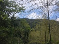 -四明山国家森林公园