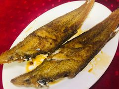 香煎龙利鱼-蛇口康乐快餐鱼仔档(翠苑小区店)