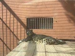 -青藏高原野生动物园