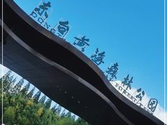 -黄海国家森林公园