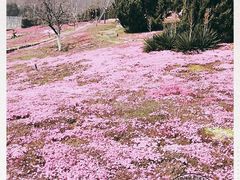 -棒棰岛宾馆景区
