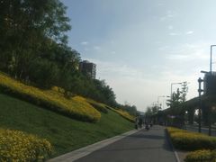 -御梁坊红糖馒头