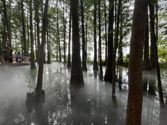 -东湖落雁景区