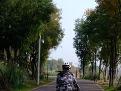 -白鹭湾湿地公园