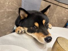 -城北食府(枫林店)