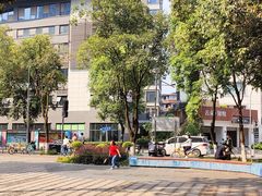 -成都市活水公园