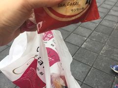 -佳德凤梨酥