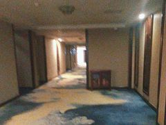 -随州碧桂园凤悦凤凰酒店