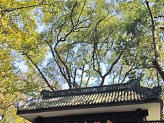 -灵顺寺