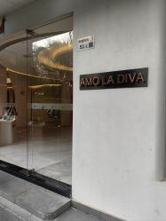 -Amo la Diva造型